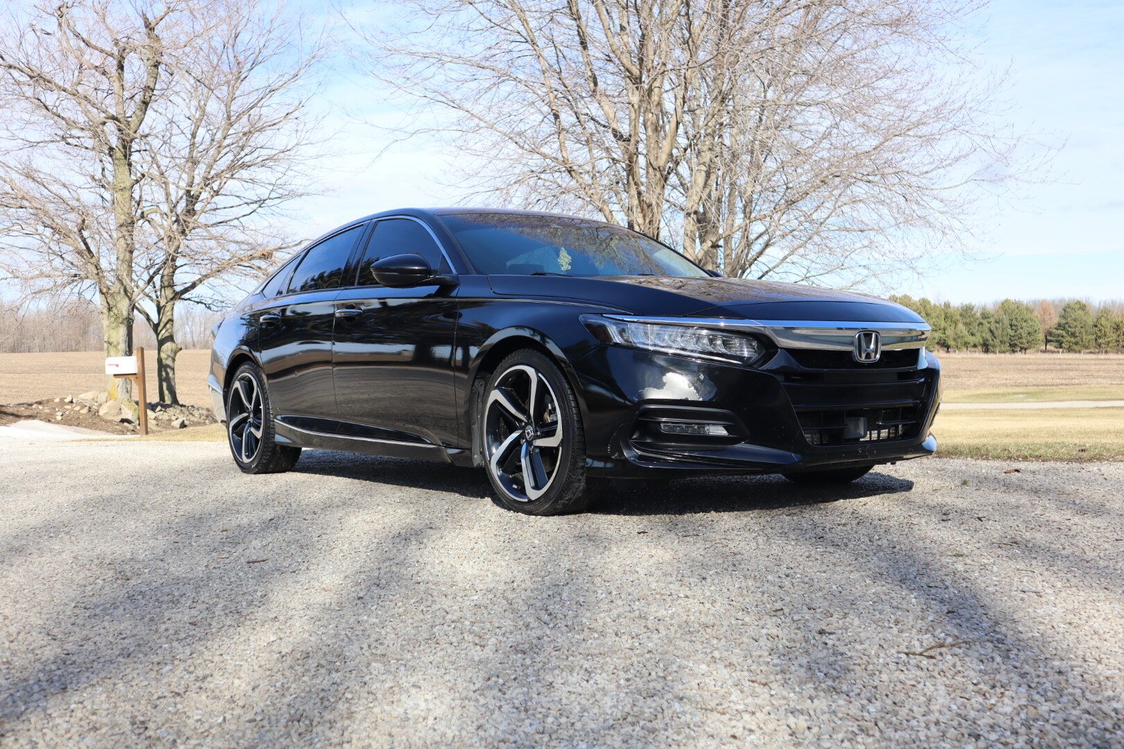 Black Car Shining in the sun.